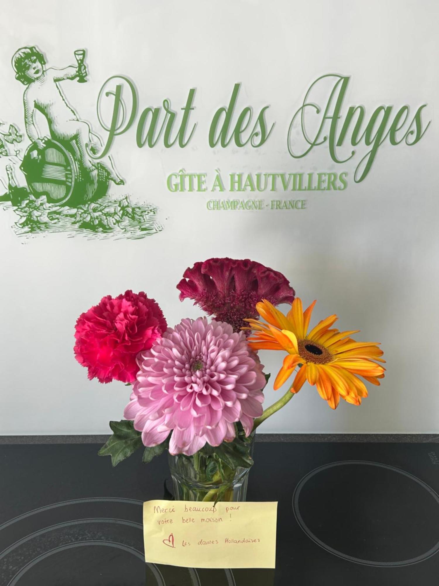 Part Des Anges - Holiday home *